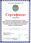 Сертификат участника регионального этапа Всероссийской олимпиады